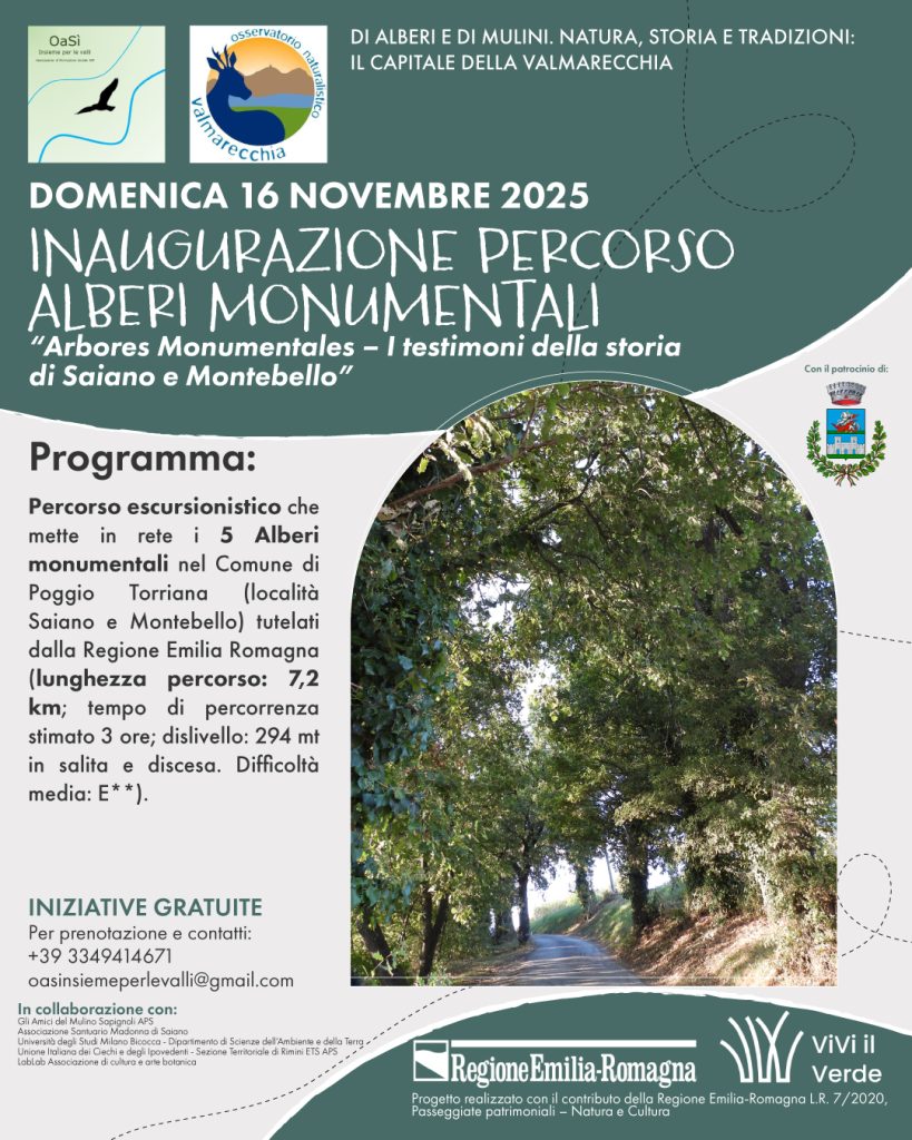 Percorso Arbores Monumentales